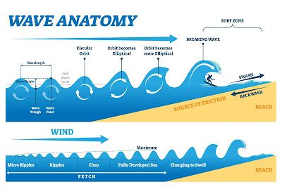 Wave Basics | MooMooMath and Science