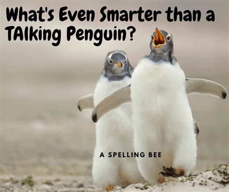 10 Fun Penquin Jokes | I Love Penguins | Funny jokes for kids, Dad ...