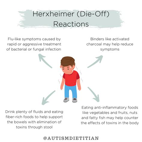 Die-Off (Herxheimer) Reaction | The Nourishing Autism Collective