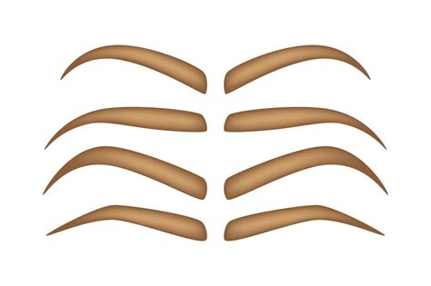 Set of Eyebrow shapes on white background 9759983 Vector Art at Vecteezy