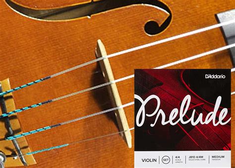 D'Addario Prelude Violin String Set Review