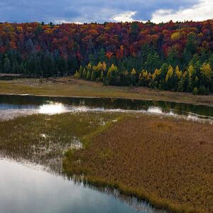 Huron Manistee National Forest in Michigan with fall colors Photograph by Eldon McGraw - Fine ...