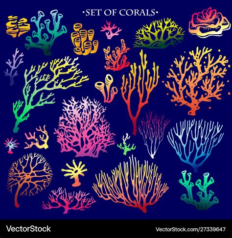 Set color underwater coral reef elements Vector Image