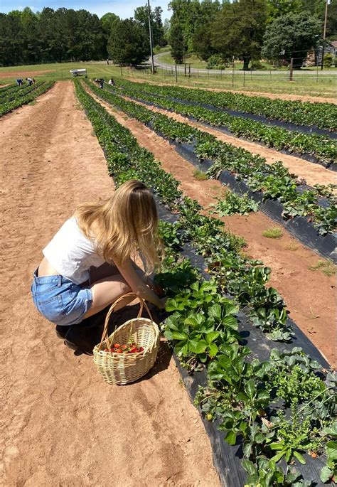 Strawberry picking outfit in 2023 | Strawberry picking outfit, Spring ...