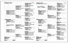 Category:Charts and Forms Genealogy - FamilySearch Wiki