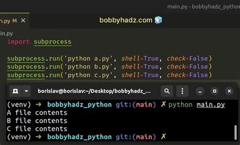 Run multiple Python files concurrently / one after the other | bobbyhadz