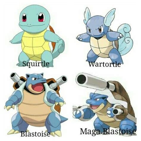 Squirtle evolution | Pokemon charizard, Pokemon bulbasaur, Squirrel pokemon