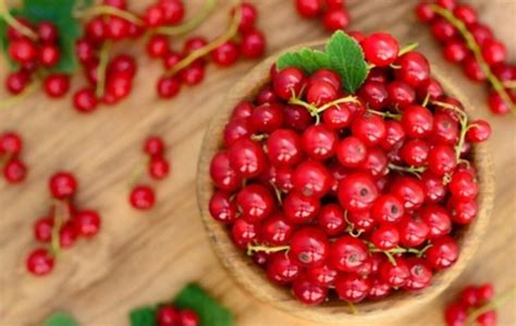 What Do Currants Taste Like? Exploring the Flavor