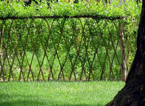 23 Amazing Examples Of Living Willow Fences | Home Design, Garden ...