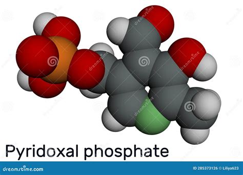 Pyridoxal Phosphate, PLP Molecule. it is Active Form of Vitamin B6 and Coenzyme. Molecular Model ...