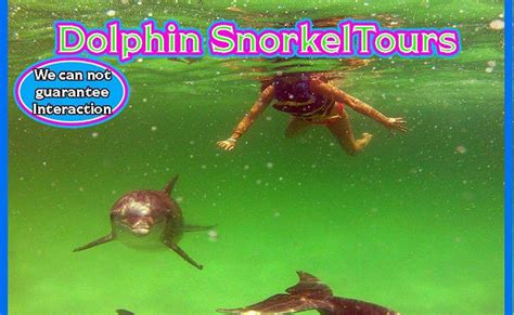 Boat Tours | Snorkel Tour Agency | Shell Island | Best Videos Panama City