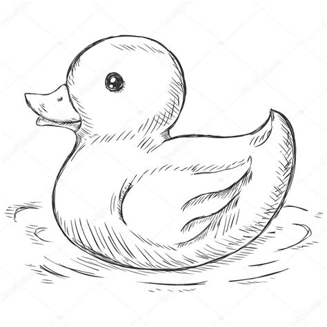 Drawings: rubber duck | Vector sketch illustration - rubber duck for bath — Stock Vector ...