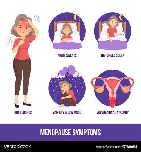 Menopause symptoms Royalty Free Vector Image - VectorStock