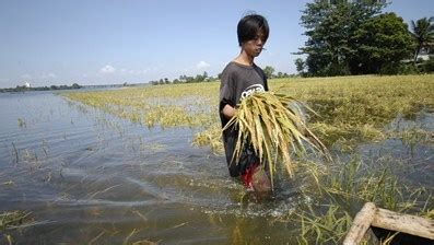 Philippine Updates: Survey: 8 of 10 Filipinos Personally Experience Impacts of Climate Change ...