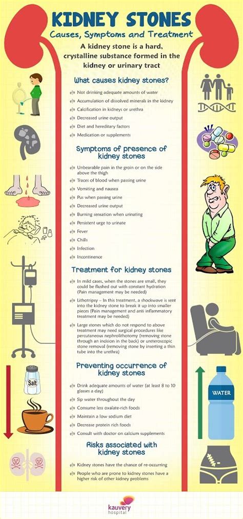 Kidney Stones – Causes, Symptoms and Treatment – Infographic | Kauvery Hospital