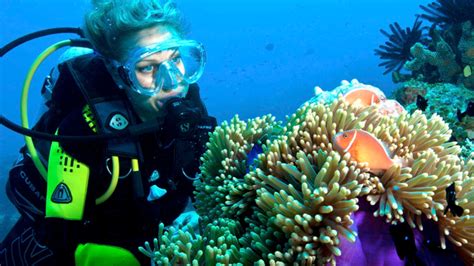 See the Great Barrier Reef » Cairns, Australia