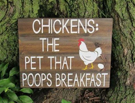 Funny Pictures Of The Day – 42 Pics Chicken Coop Signs, Building A ...