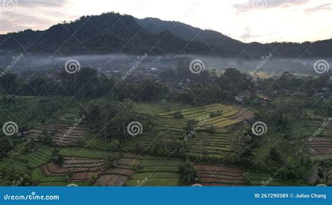 The Bali Terrace Rice Fields Stock Image - Image of cultivation, nature ...