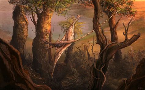 Mark Witton on Twitter: "New #Patreon post! A quick Sharovipteryx painting I created this month ...