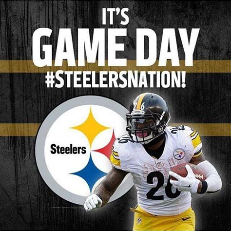 Pin by Tecy Chavez on Steelers Passion | Pittsburgh steelers ...