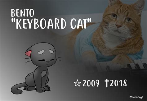 João Pereira's Arts & Other Stuff — Keyboard Cat, one of the most iconic memes, passed...