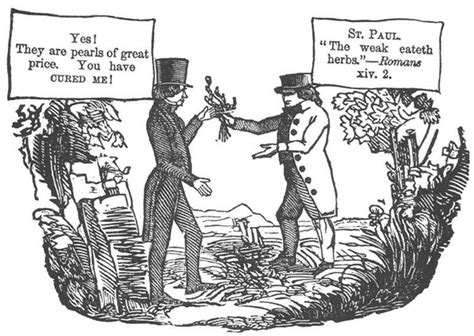 1800s Political Cartoons