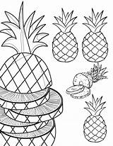 Free Printable Pineapple Coloring Pages  AllFreePaperCraftscom sketch template