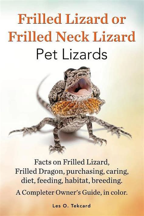 Frilled Lizard or Frilled Neck Lizard, Pet Lizards, Facts on Frilled Lizard, Frilled Dragon ...