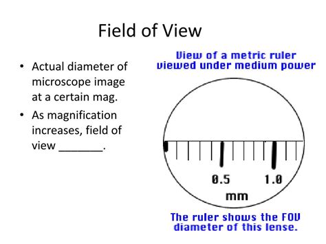 PPT - Lab 2: Cells PowerPoint Presentation, free download - ID:3964464