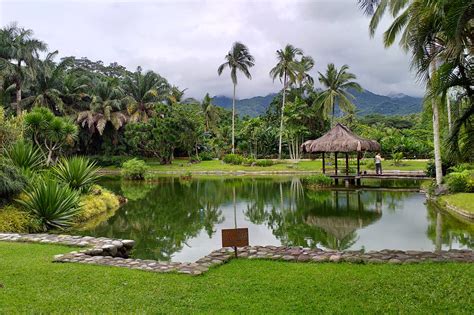 Batangas luxury wellness resort The Farm launches new restaurant | ABS-CBN News