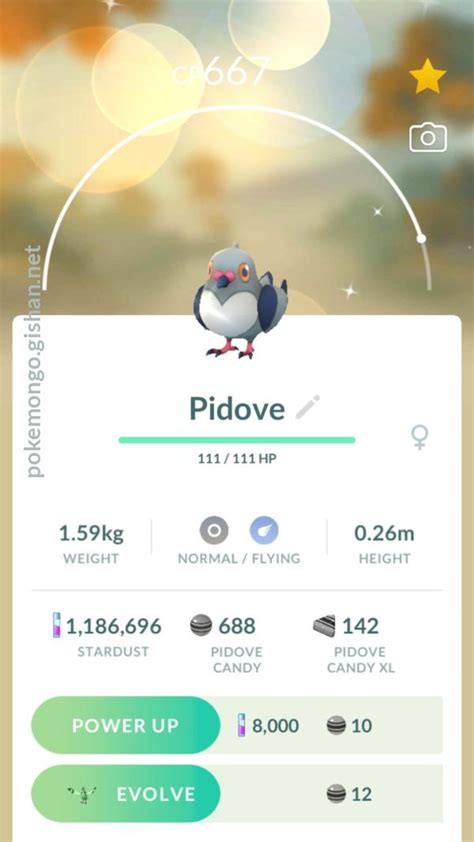 Shiny Pidove - Pokemon Go