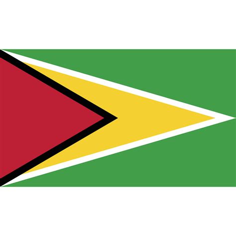 Ensign, flag, guyana, nation icon - Free download