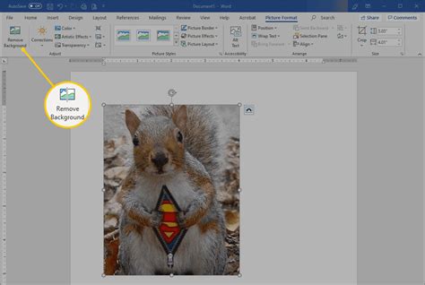 How to Remove Image Fill or Backgrounds in Microsoft Word - Oanhthai