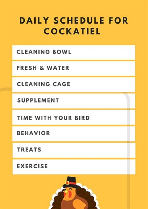 Cockatiel Care Tips: Food & Medicine 丨How To Take Care Of A Cockatiel