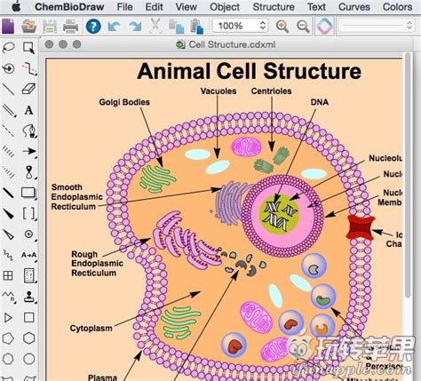 ChemBioDraw for Mac 14.0 破解版下载 - Mac 上优秀的化学分子结构绘图工具 | 玩转苹果