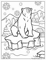 14 Polar Bear Coloring Pages Free PDF Printables sketch template