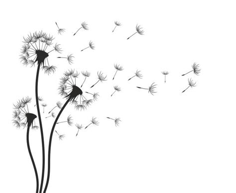 1,881 Dandelion Seed Illustrations & Clip Art - iStock | Dandelion ...