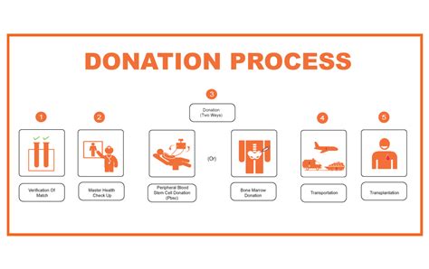 Where Can You Donate Bone Marrow