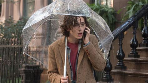 A Rainy Day in New York Sets U.S. Release Date for October