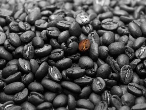 Coffee Bean 1024x768 | The single coffee bean in the bunch -… | Flickr