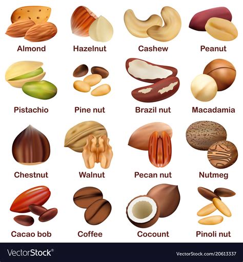 Types Of Nuts In Telugu at Eric Battle blog