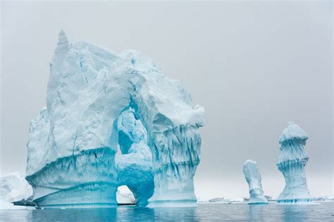 All About Ice: Glaciers and Icebergs of the Arctic and Antarctica ...