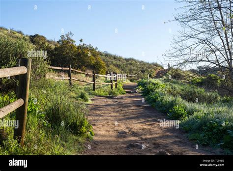 View of the Oak Canyon Trail. Mission Trails Regional Park, San Diego ...