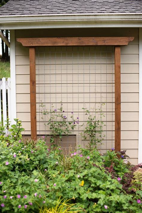 Beautiful Arbor Trellis: 4 Practical DIY Methods | Diy garden trellis ...