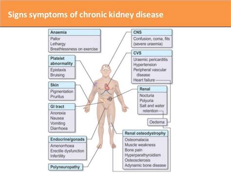 Kidney Injury