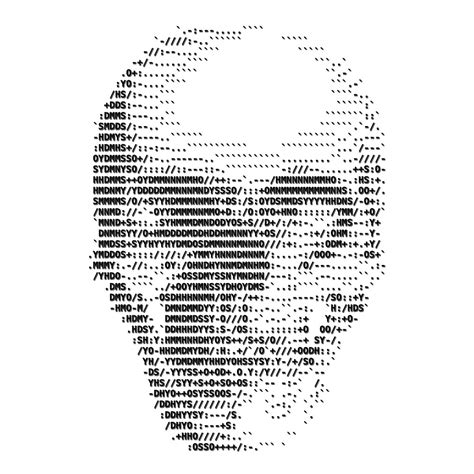 ACSII Skull | ASCII art, Text art, Code art