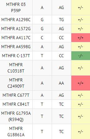 MTHFR-gene-mutations-example-list - MTHFR Gene health™