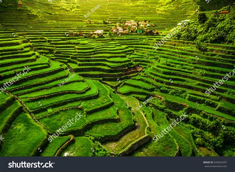 World Heritage Ifugao Rice Terraces Batad Stock Photo 634025597 ...