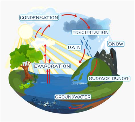 Groundwater Diagram Label