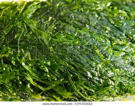 6,162 Laver Seaweed Stock Photos, Images & Photography | Shutterstock